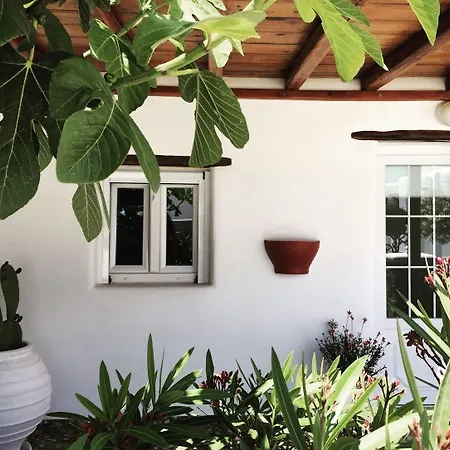 Lägenhet Irene's Mykonos Town