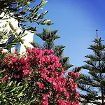 公寓 艾琳公寓