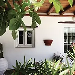 公寓 艾琳公寓 Mykonos Town