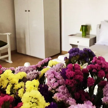 Irene's Appartamento Mykonos Town