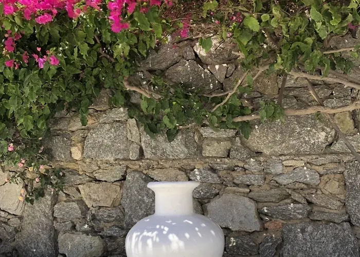 Irene's Apartamento Mykonos Town